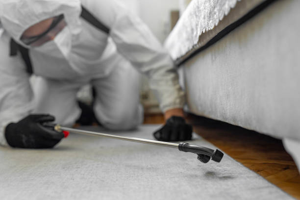 Professional Mosquito Control technician working in Alsip, IL