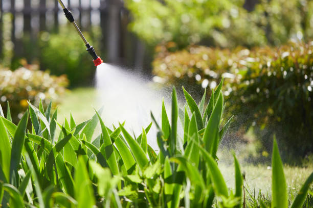 24/7 Emergency Mosquito Control experts in Alsip, IL